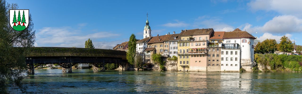 Umzug in Olten