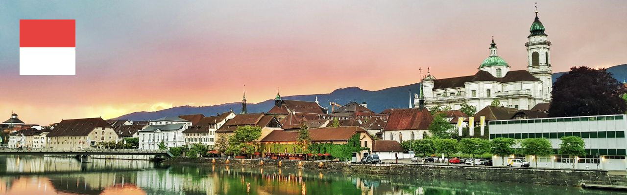 Umzugsfirma in Solothurn