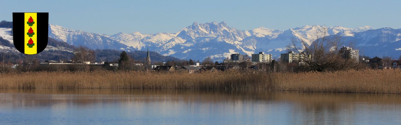Umzug Wetzikon